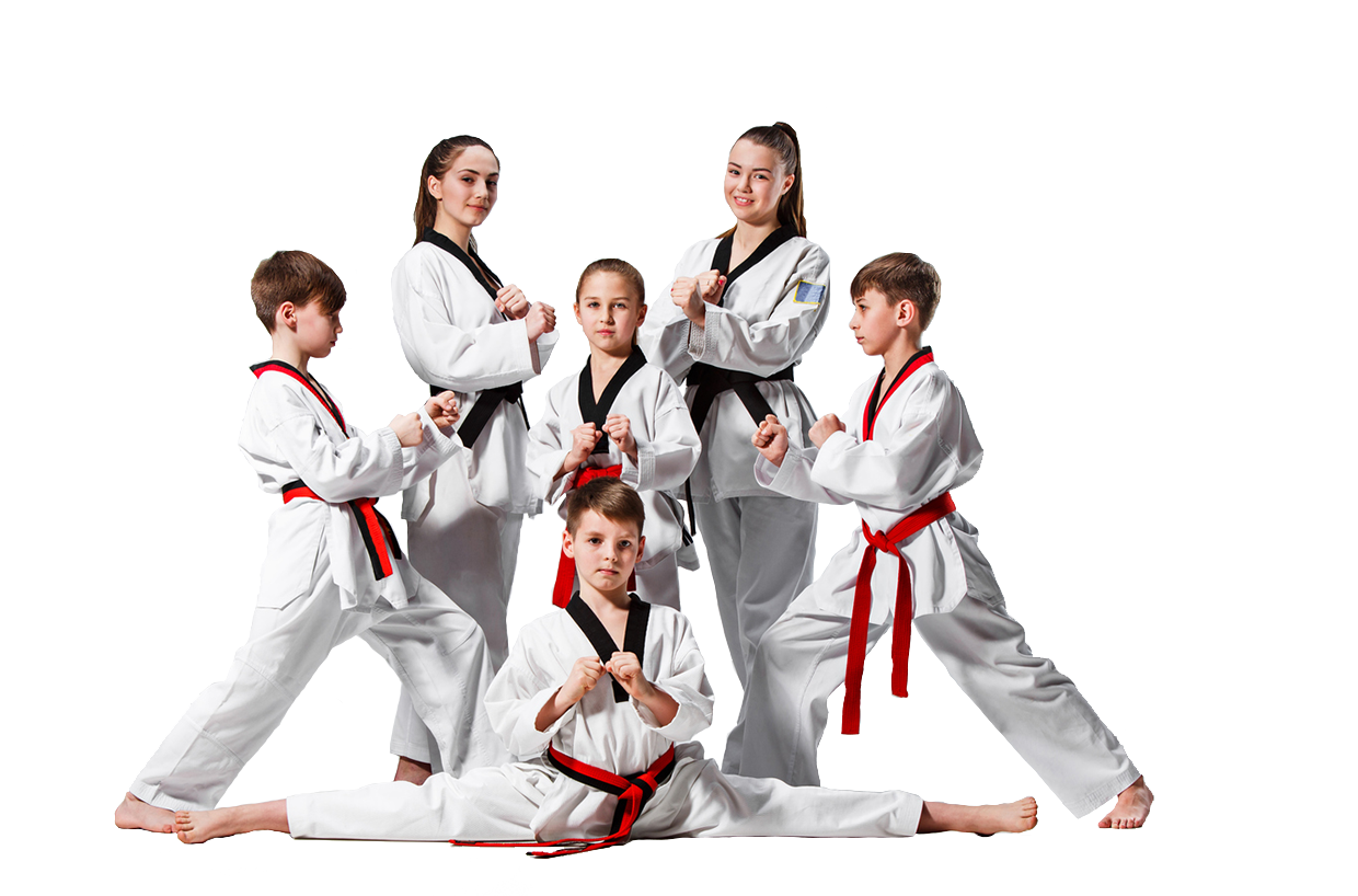 What are the various aspects of karate? post thumbnail image