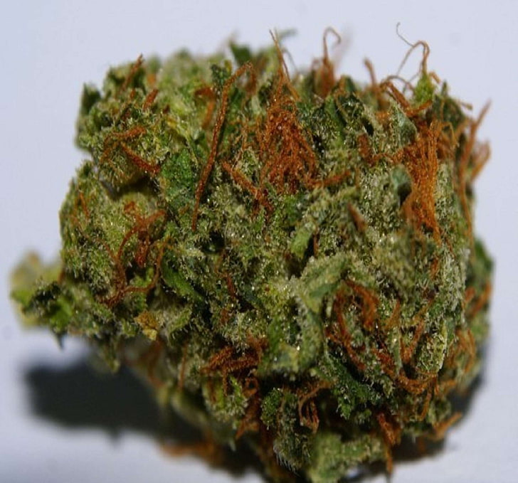 What are the medical reasons to buy weed online for expenditures? post thumbnail image