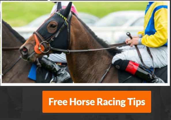 Tips to choose Best Horse Racing Tipster post thumbnail image