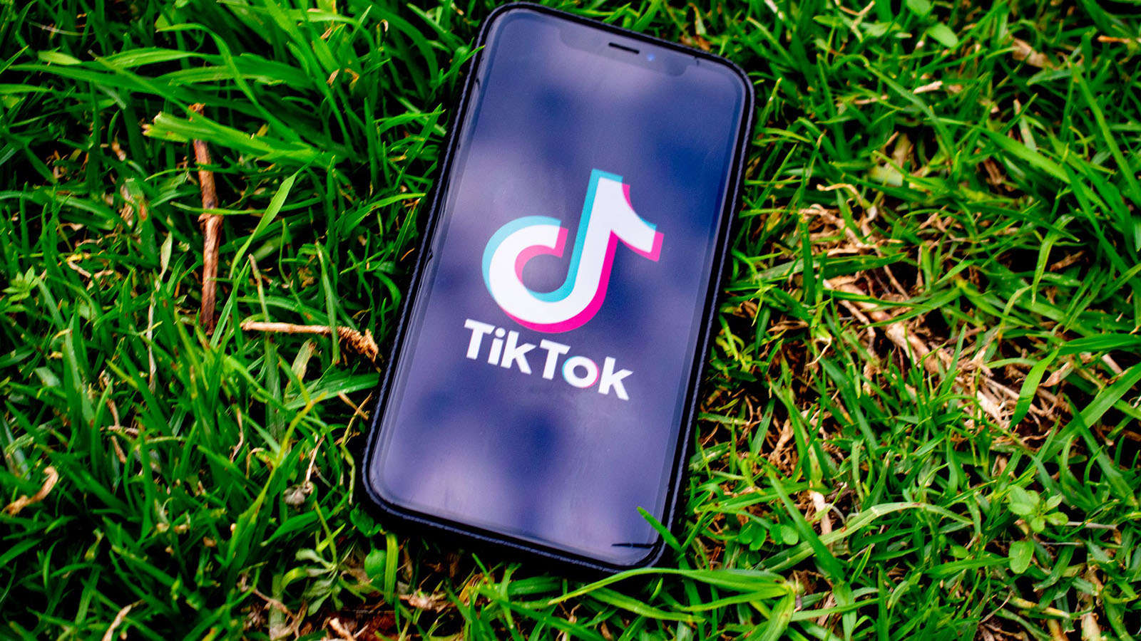 Much more Sights More Money – Get Tiktok Landscapes post thumbnail image