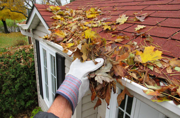 What are the essential reasons for one to clean gutters? post thumbnail image