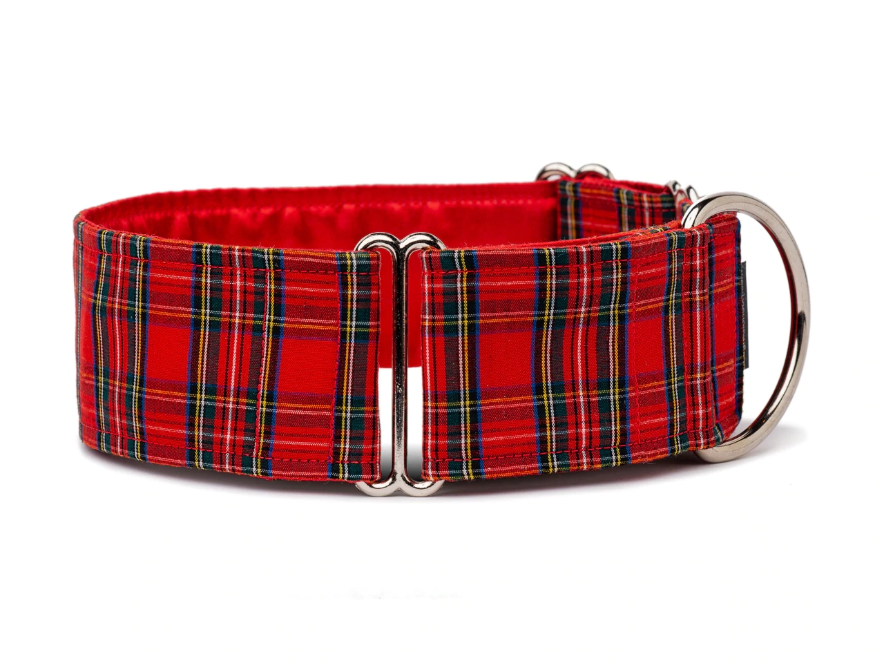 Unique Dog collars for Large Dogs: Big and Bold Designs post thumbnail image