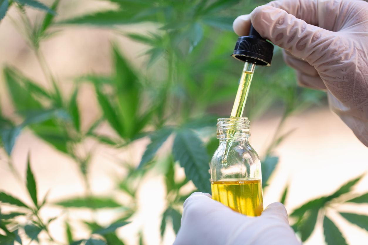 5 Factors to Consider When Choosing a CBD Product post thumbnail image