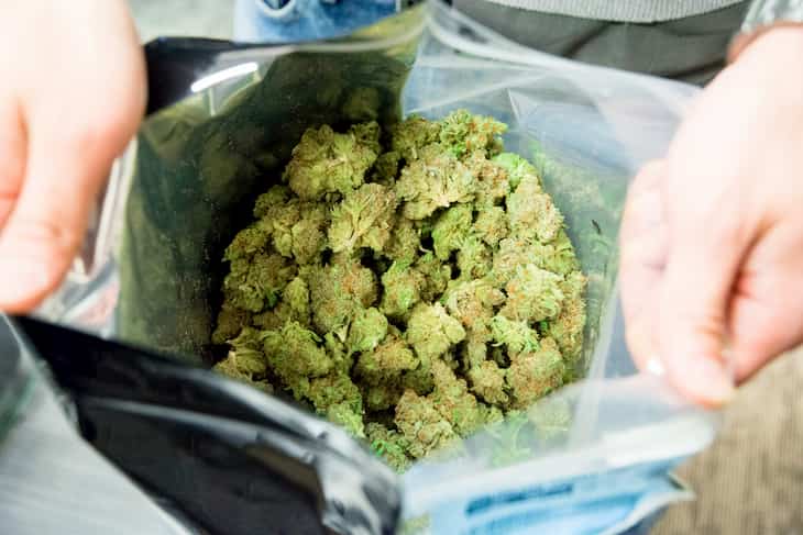 How Cannabis Delivery Can Help You Save Money post thumbnail image