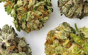 What are the major benefits of purchasing weed online? post thumbnail image