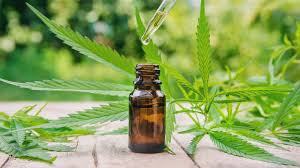 Cannabis-Derived Essential oil And Its Therapeutic Usages: A Complete Guide post thumbnail image