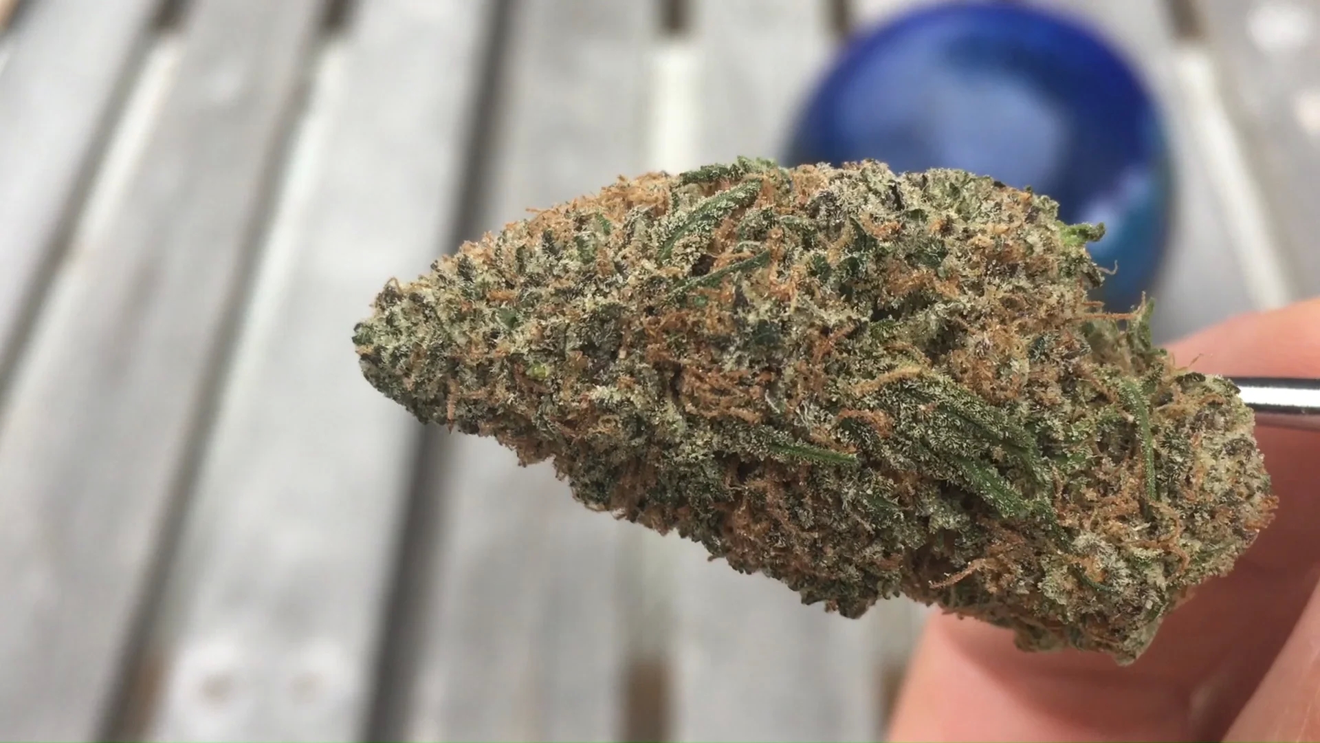 On the web Dispensary Canada Can Provide Your Weed Requirements! post thumbnail image