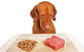 Raw Dog Food can bring you excellent benefits post thumbnail image