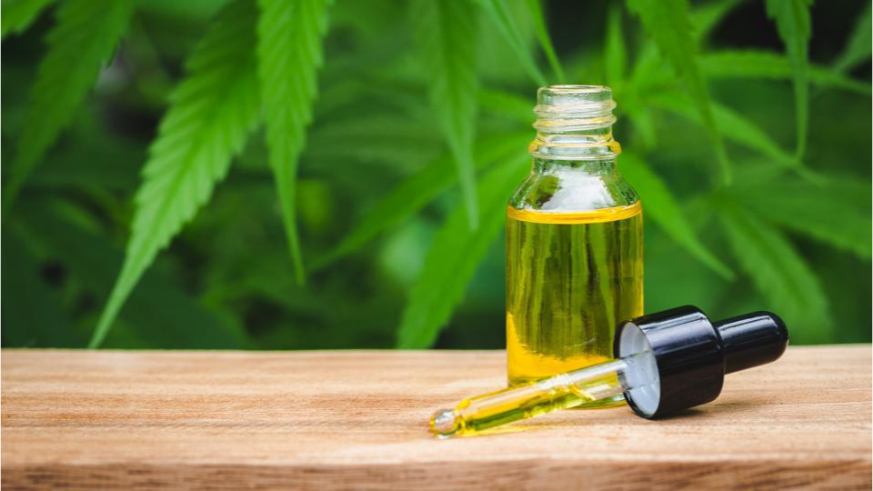 Harnessing the Power of CBD oil for Pain Relief post thumbnail image