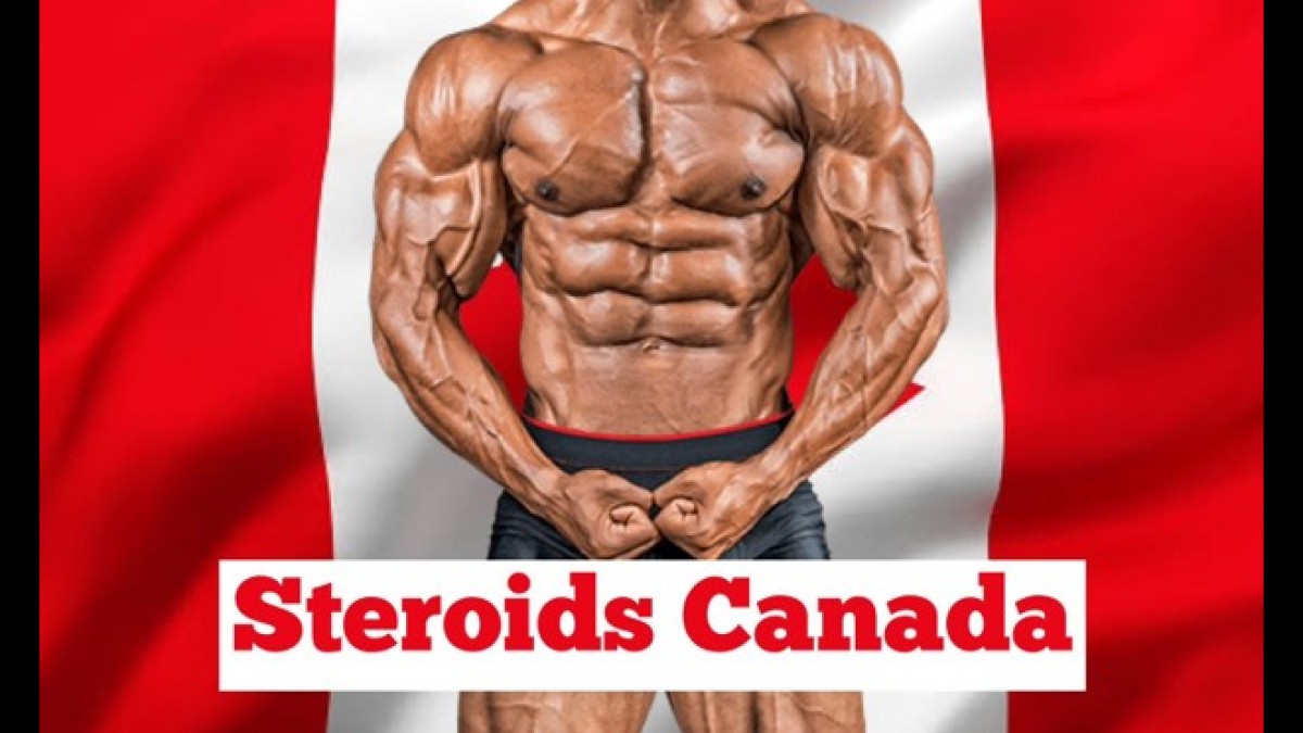 Suggestions To Buy Steroid in Canada post thumbnail image