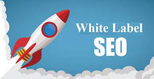 Your website’s natural targeted traffic boosts every day thanks to white label SEO post thumbnail image