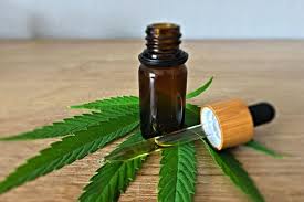 A Guide to CBD Oil for Domestic pets post thumbnail image