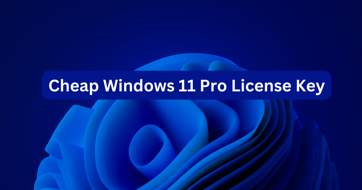 Windows 11 Pro Key Bundle: Budget-Friendly Pro Activation Packages post thumbnail image